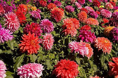 像素风节奏对决游戏《对峙节拍》现已在Steam平台正式推出